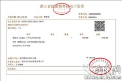 武汉开出华中地区第一张电子发票 可作售